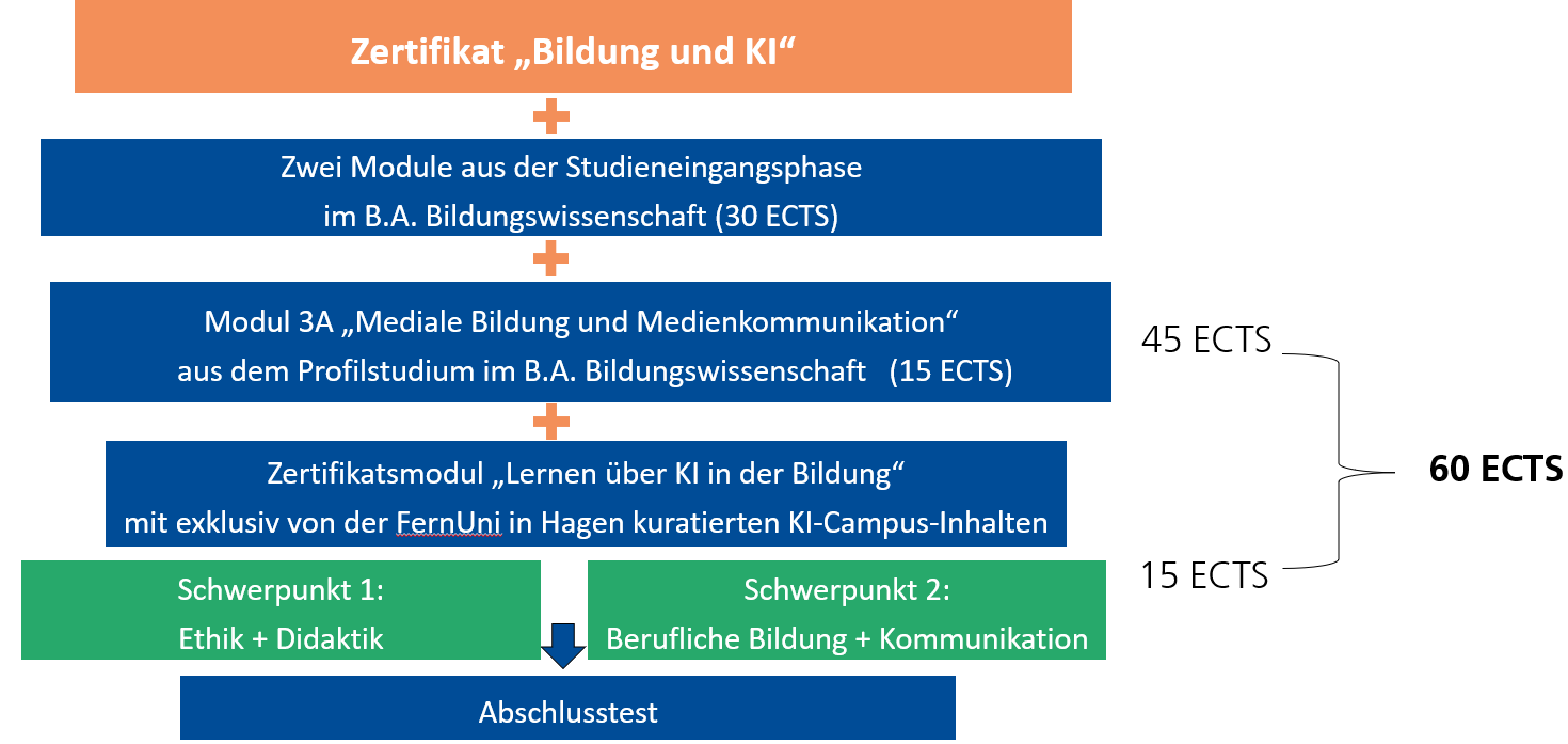 Abb. 1: Das Zertifikat „Bildung und KI“ im Studiengang B.A. Bildungswissenschaft an der FeU
