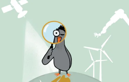 Pigeon