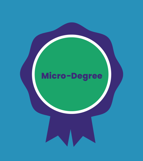 Micro-Degree des KI-Campus