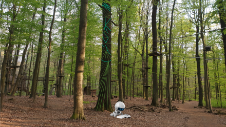 Foundations of AI course pic