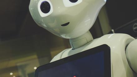 Pepper Robot I