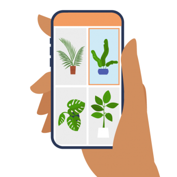 Grafik Smartphone mit Bildergalerie verschiedener Pflanzen