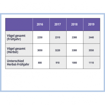 Grafik Tabelle