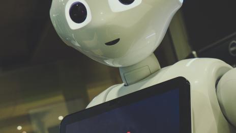 Pepper Robot I